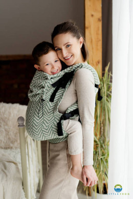 Location Porte-bébé Little Frog Preschooler