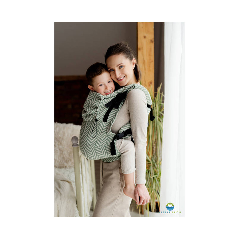 Location Porte-bébé Little Frog Preschooler