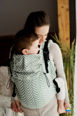 Location Porte-bébé Little Frog Preschooler